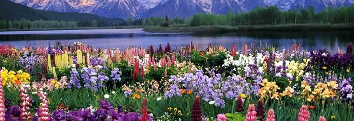 Agra-Nainital-Haridwar